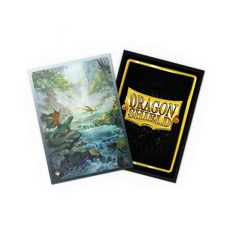 Premium Dragon Shield MTG deck sleeves with black interior